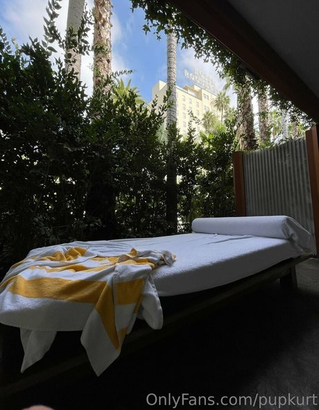 pupkurt perfect pornstar images