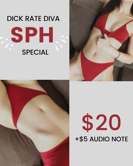 lithe art star gallery