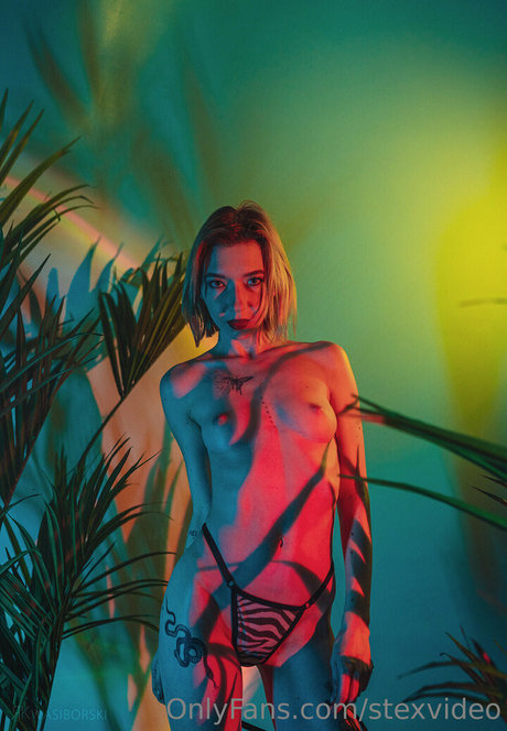 stexvideo star best pics