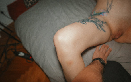 stexvideo model hd galleries