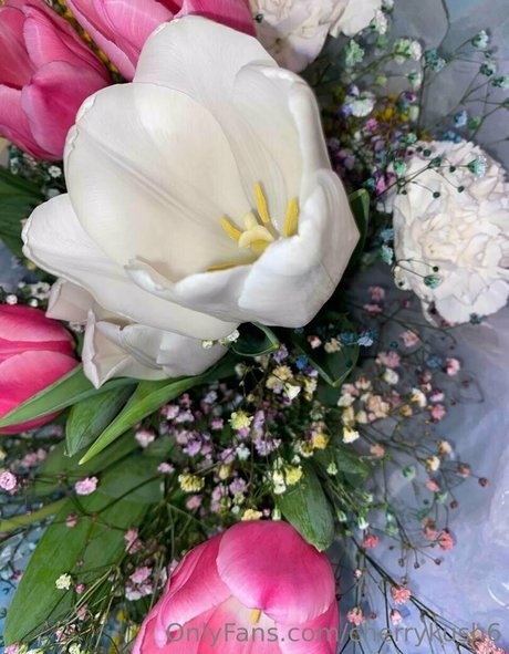 cherrykush6 erotic actress photo