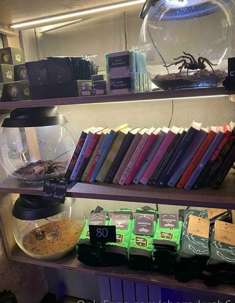 cherrykush6 model top archive