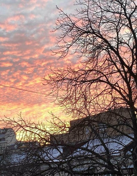 trans asian onlyfans porno photos