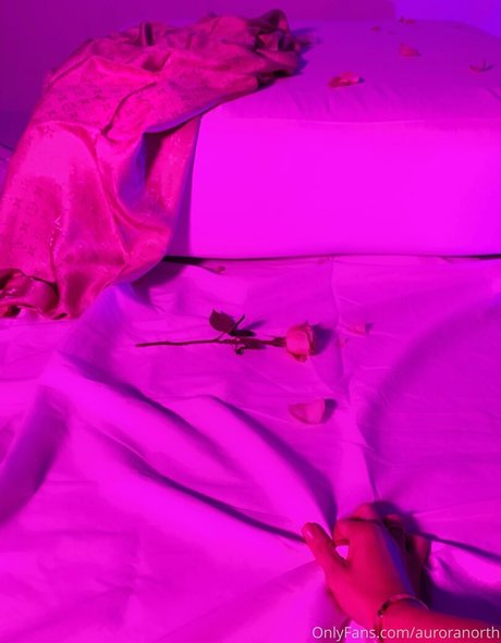 auroranorth best star images