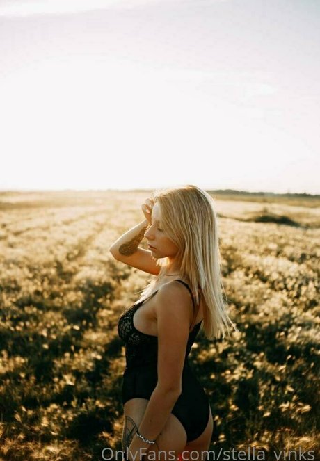 stella vinks pornstar naked pictures