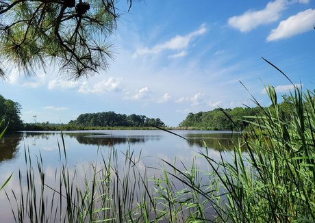 gingerhippie74 pornstar best photo