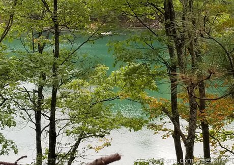 gingerhippie74 model high quality pic