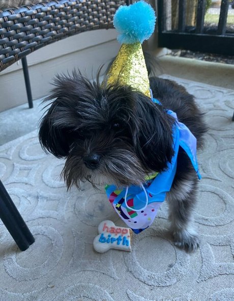 deltadawnlux top pornstar images