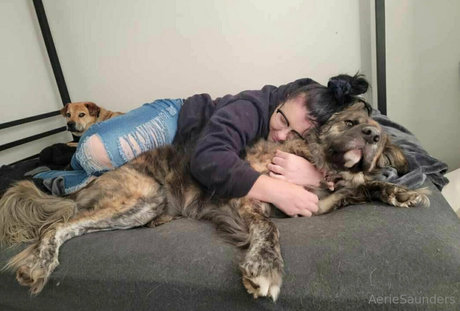 aeriesaunders pornstar high quality picture