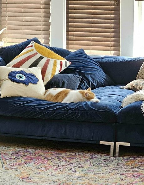 hotmesstv art star picture