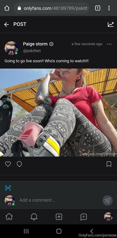 psmeow sex star photos