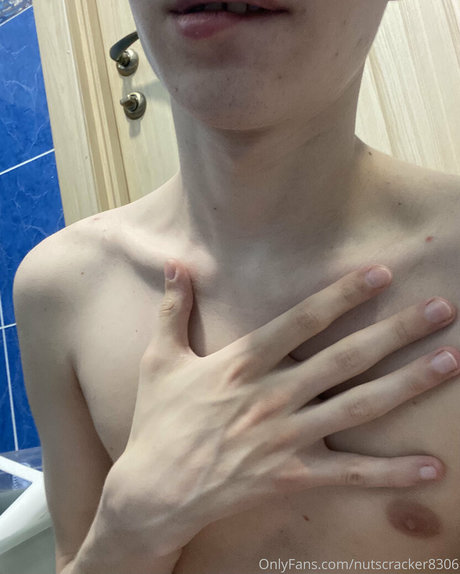 nutscracker8306 model free picture