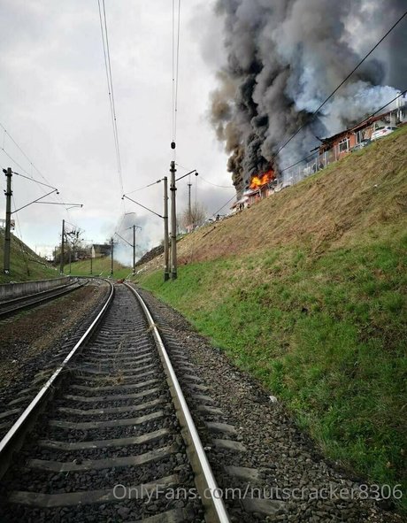 nutscracker8306 model nice photos