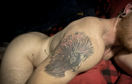 gnoza27 star xxx archive