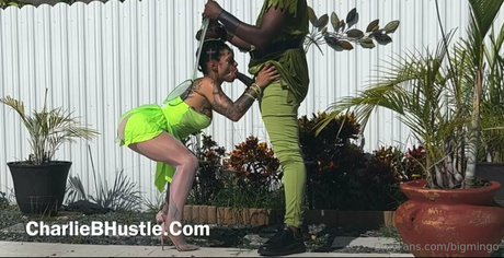 bigmingo sex actress image