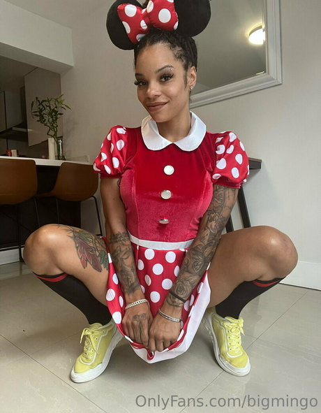 bigmingo perfect pornstar photo