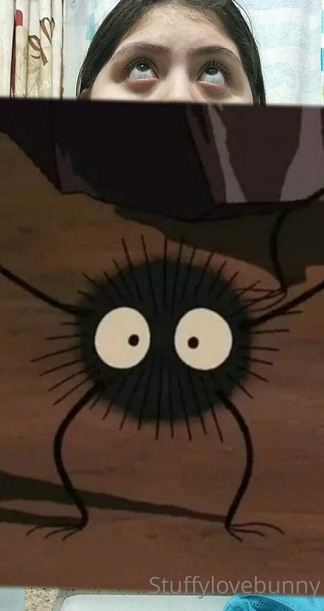 StuffyLoveBunny best star archive