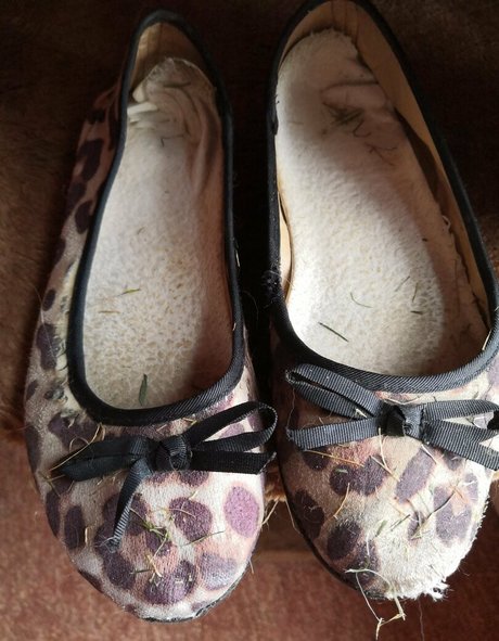 one onlyfans hot xxx archive