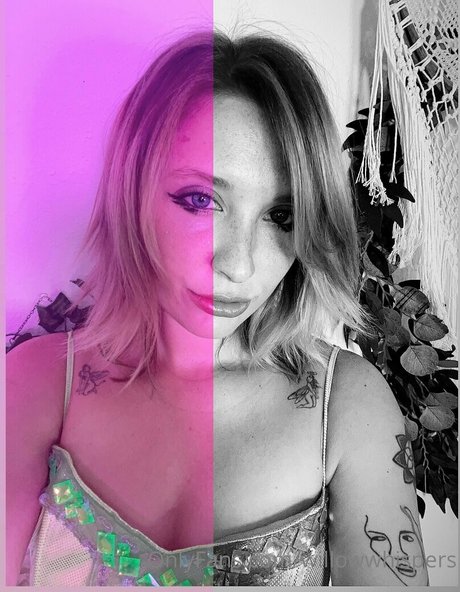 willowwhispers hot star galleries