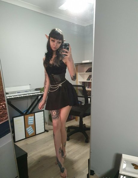 vi0let night Photo Gallery