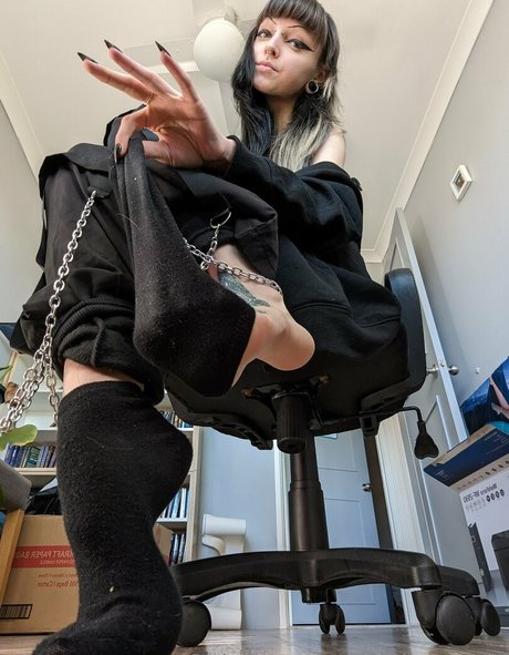 vi0let night top star image