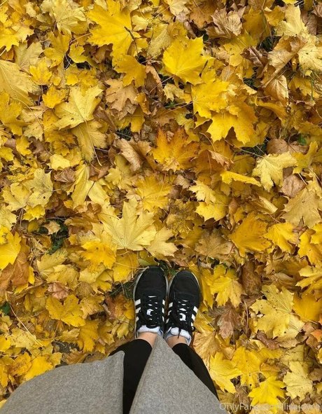 Lisa Joyce high quality pornstar images