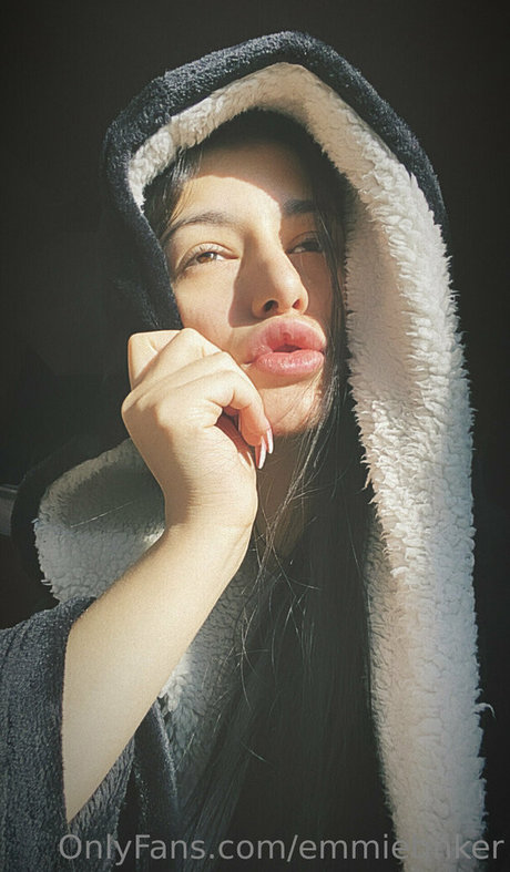 emmietinker model high quality img