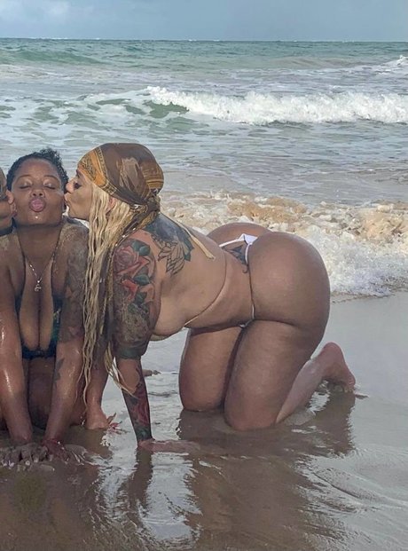 Aviberri star free picture