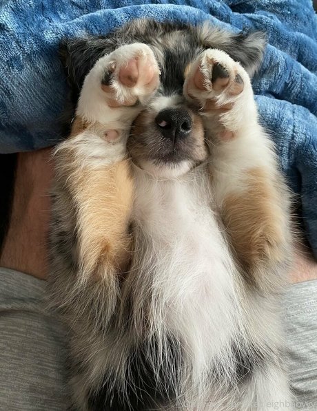 brazilian mature onlyfans porno picture