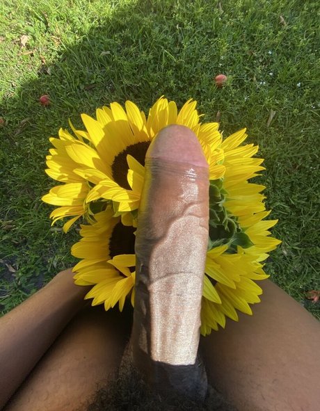 AllynRa model xxx image