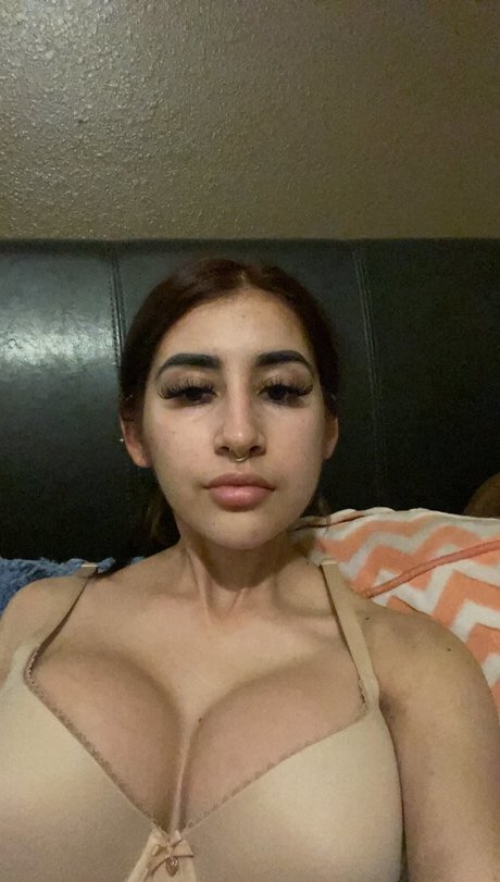 Asapcilla star high quality photo