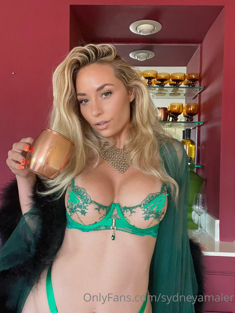 Sydney Maler nudes pornstar photo