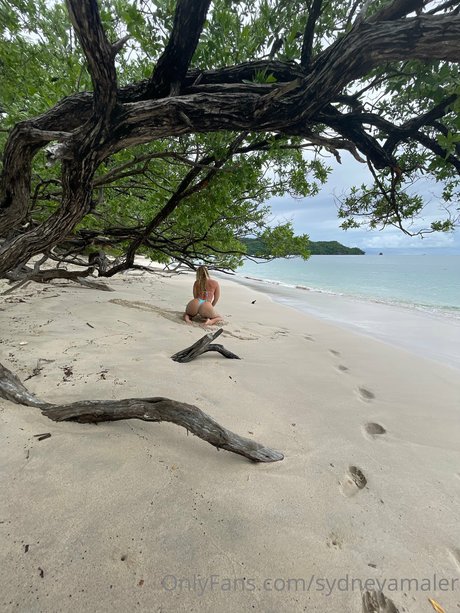 Sydney Maler free star gallery