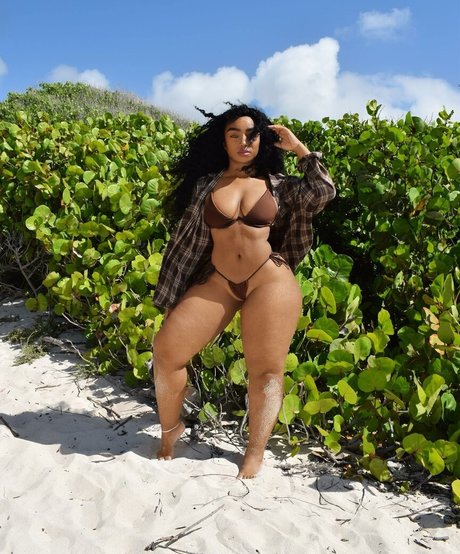 Jayla Doll adult star image