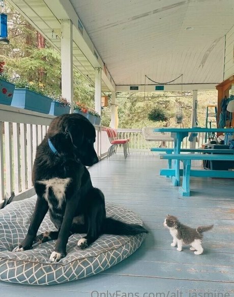 alt jasmine adult star pic