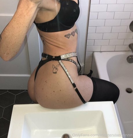 mastervixennnnn star images