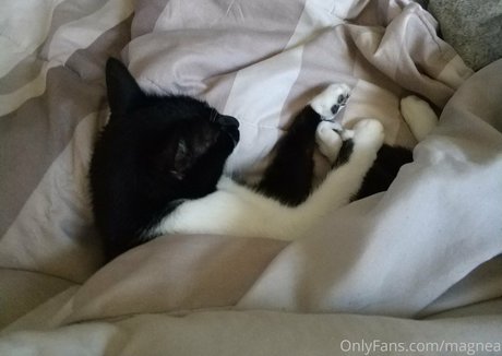 magnea pornstar best pic