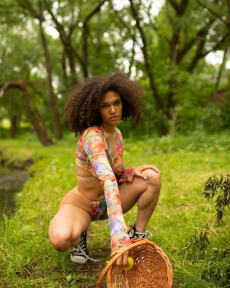 Bebetendre pornographic star image