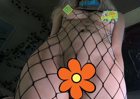 mooseve perfect star photo