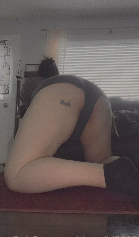 staywild2595 erotic pornstar gallery