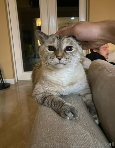 brycesgfkali model best photo