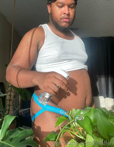 beefish star high quality pictures