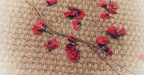 sugarskull bri nice star gallery