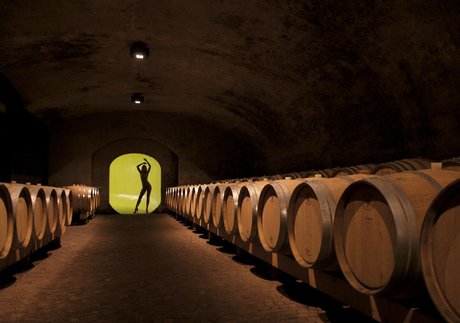 Miriam Schwarz best model img