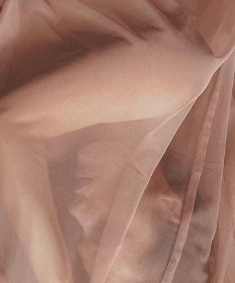 asian bbw onlyfans beautiful nude pics