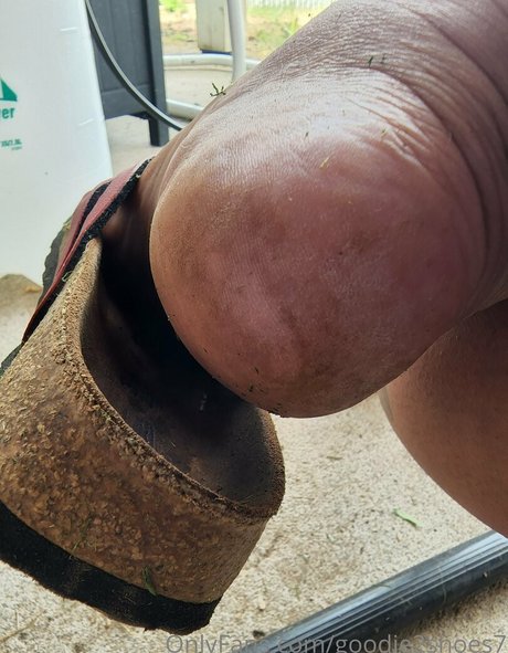 goodie2shoes7 star sexy img