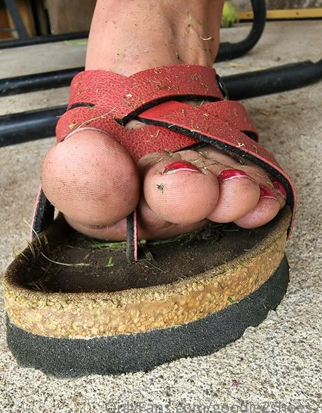 goodie2shoes7 star top pics