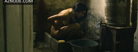 Golshifteh Farahani pornographic actress img