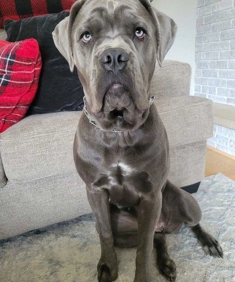 licking pussy onlyfans sex photos