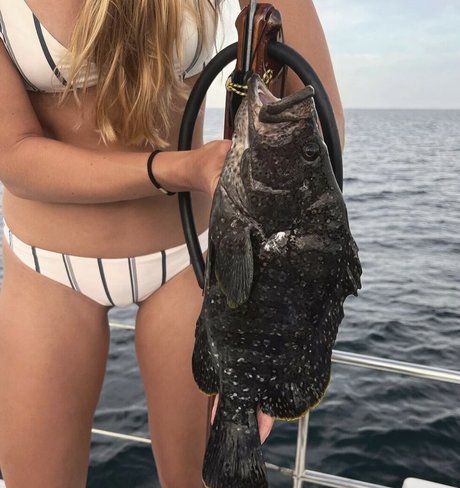 Kelly Young pornstar erotic photos